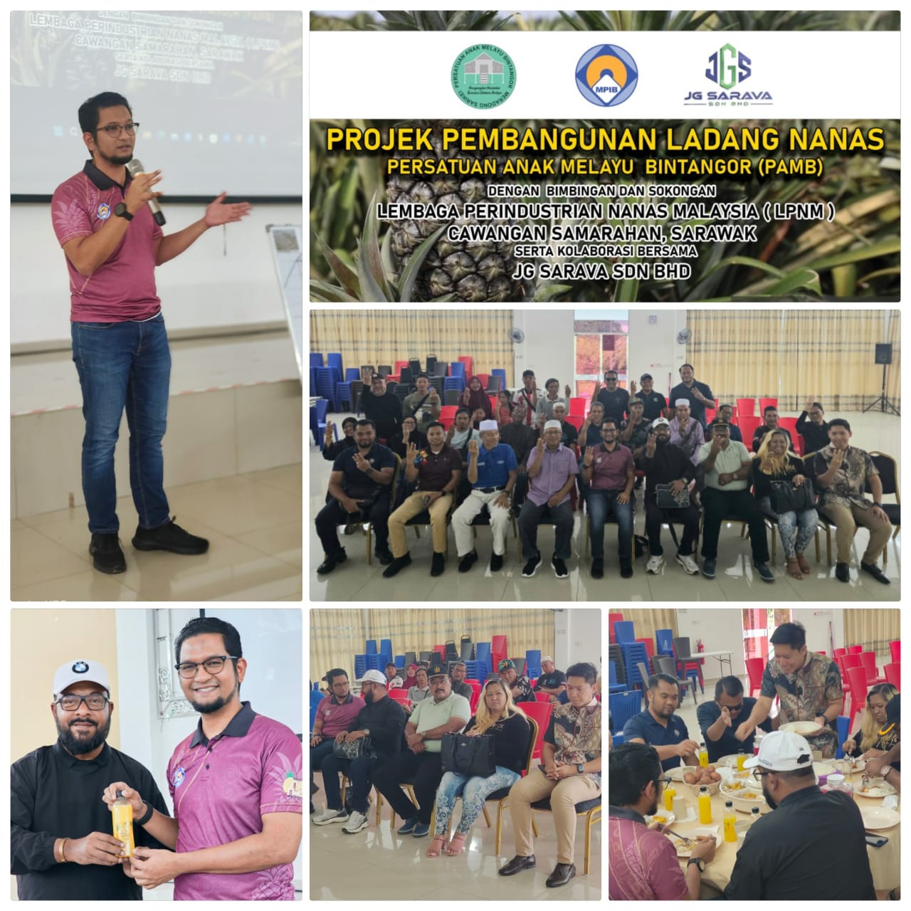 Preliminary Pineapple Project by JG Sarava Sdn Bhd in Sarawak